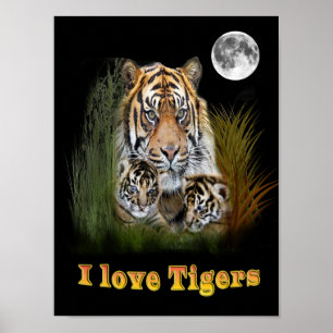 tiger poster