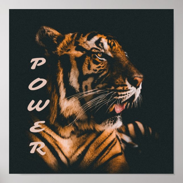 Tiger Power Stripes Fierce Motivational Poster (Front)