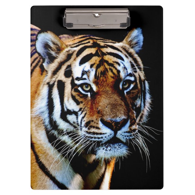 Tiger Predator Clipboard (Front)