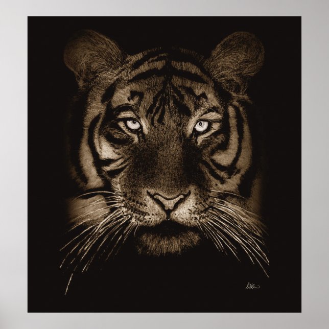 Tiger Print (Front)