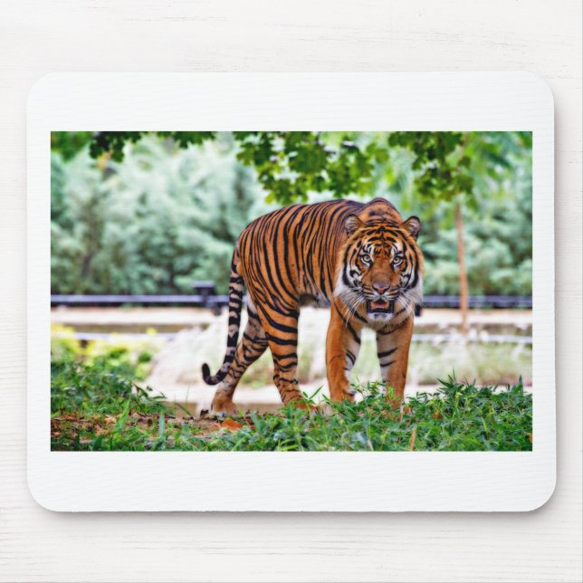 tiger print cat custom personalize Anniversaries Mouse Pad (Front)