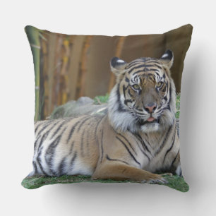 tiger print cat custom personalize Anniversaries Throw Pillow
