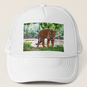 tiger print cat custom personalize Anniversaries Trucker Hat