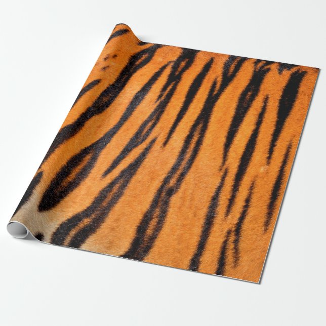 Tiger print texture wrapping paper (Unrolled)
