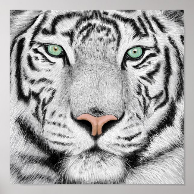 Tiger Profile Poster (Front)