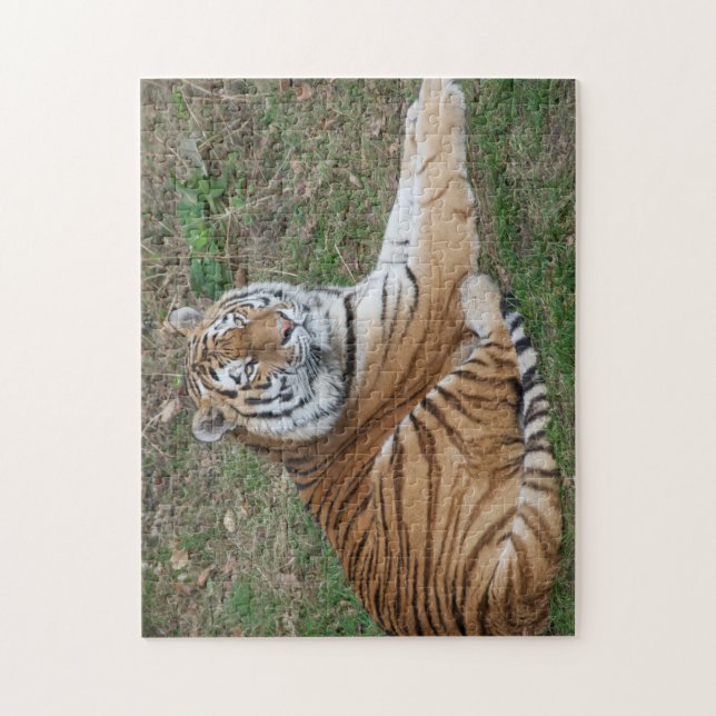Tiger Puzzle (Vertical)