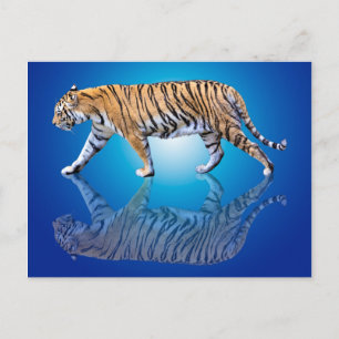 TIGER REFLECTED POSTCARD