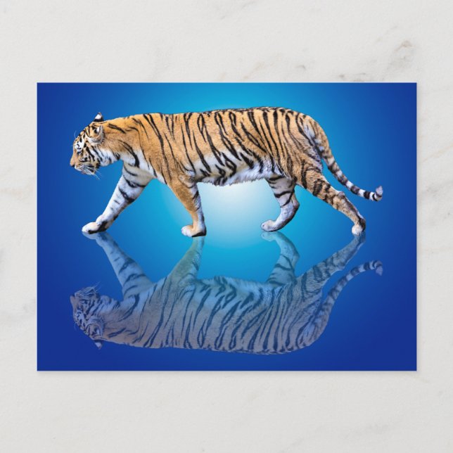 TIGER REFLECTED POSTCARD (Front)