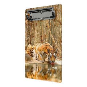 Tiger Reflection Clipboard