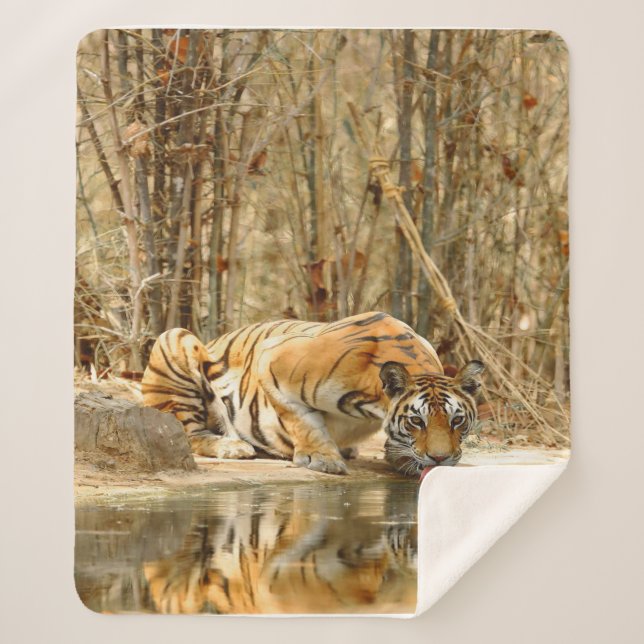 Tiger Reflection Sherpa Blanket (Front)