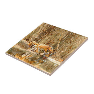 Tiger Reflection Tile
