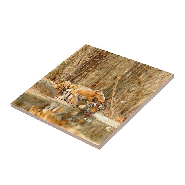Tiger Reflection Tile (Side)