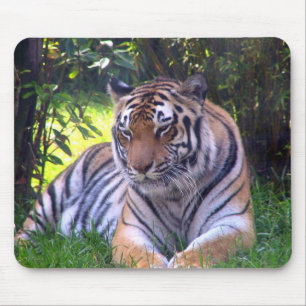 Tiger resting mouse pad