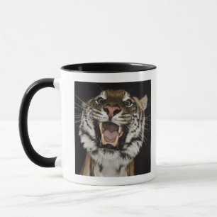 Tiger roaring 2 mug