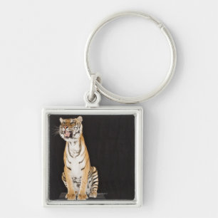 Tiger roaring keychain