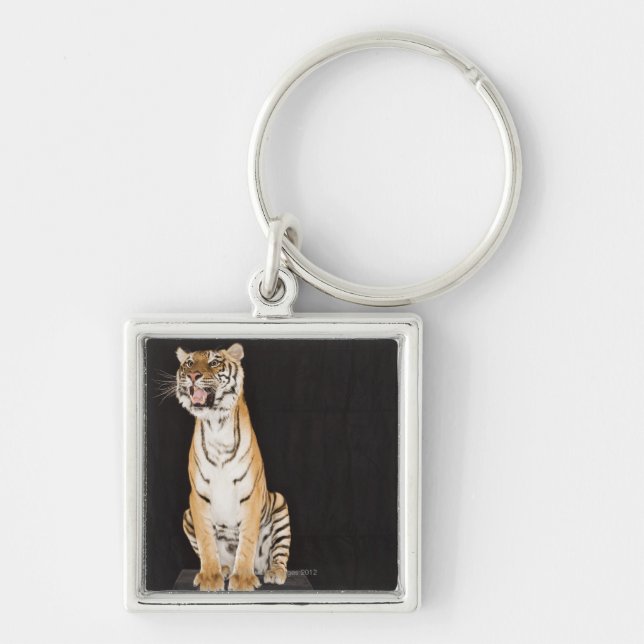 Tiger roaring keychain (Front)