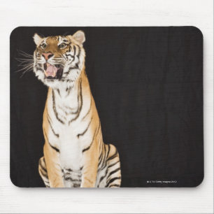 Tiger roaring mouse pad