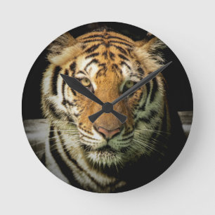 tiger round clock