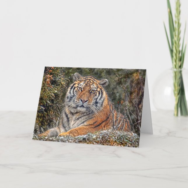 Tiger Royal Snow Card (Front)