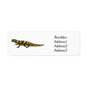 Tiger salamander cartoon illustration