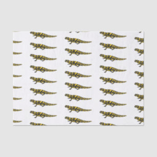 Tiger salamander cartoon illustration  tissue paper