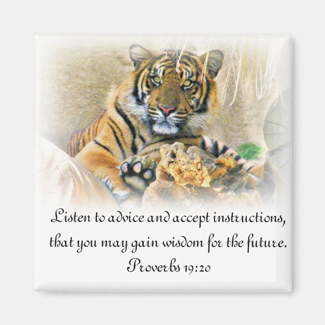 Tiger,Seeking_ Magnet (Front)