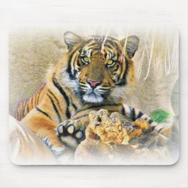 Tiger,Seeking_ Mouse Pad (Front)