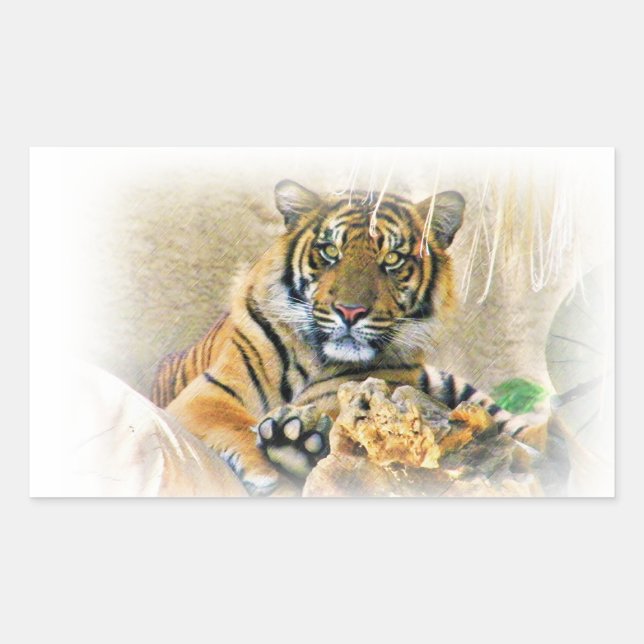Tiger,Seeking_ Sticker (Front)