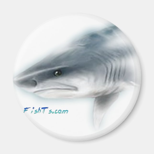 Tiger Shark Head Magnet (Front)