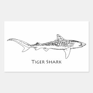 Tiger Shark Illustration Sticker