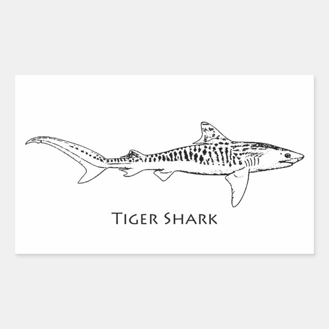 Tiger Shark Illustration Sticker (Front)