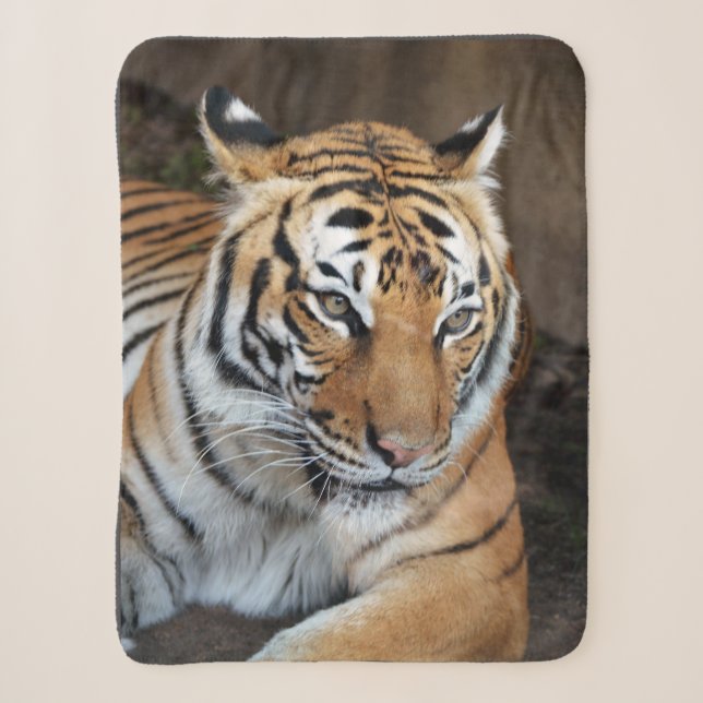 Tiger Sherpa Blanket (Front)