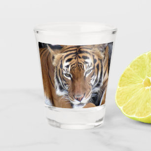 Tiger Shot Glass