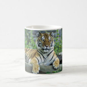 Tiger, Siberian Coffee Mug