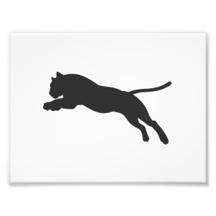 Tiger silhouette - Choose background colour Photo Print