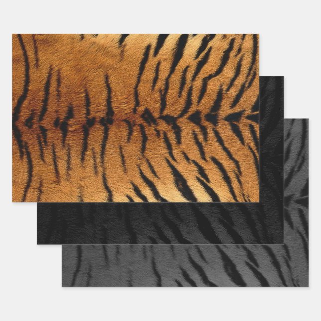 Tiger Skin Print in three colours Wrapping Paper Sheet (Set)