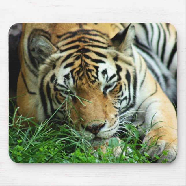 Tiger Sleeping in grass Mousepad (Front)