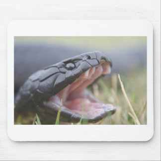 Tiger Snake Mouse Pad