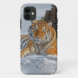 Tiger Snow Portrait iPhone 11 Case