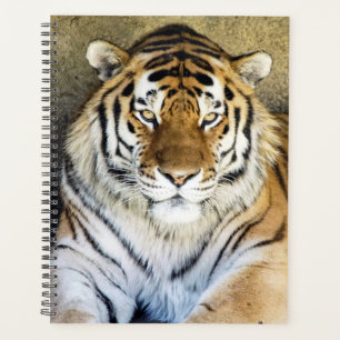 Tiger Spiral Weekly/Monthly Planner