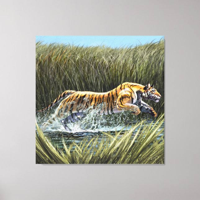 Tiger Splashing through the marsh Triptych Acrylic Canvas Print (Front)