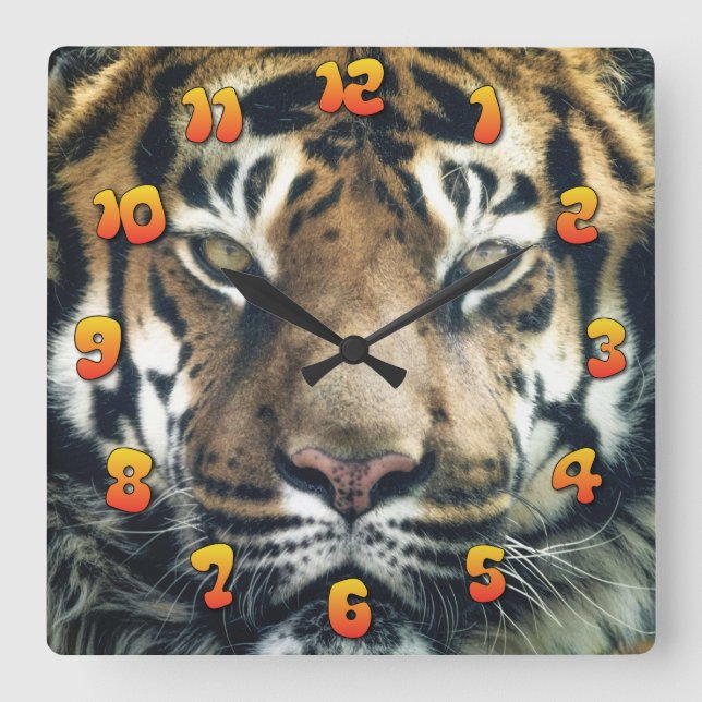Tiger Square Wall Clock (Front)