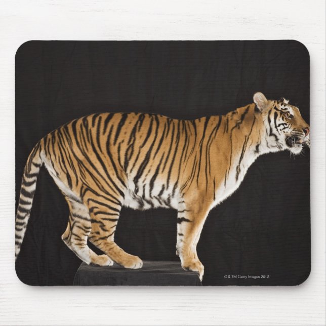 Tiger standing on platform mouse pad (Front)