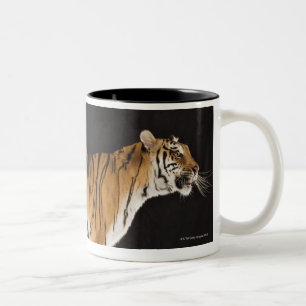Tiger standing on platform Two-Tone coffee mug