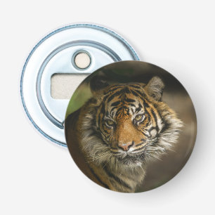Tiger Stare Bottle Opener