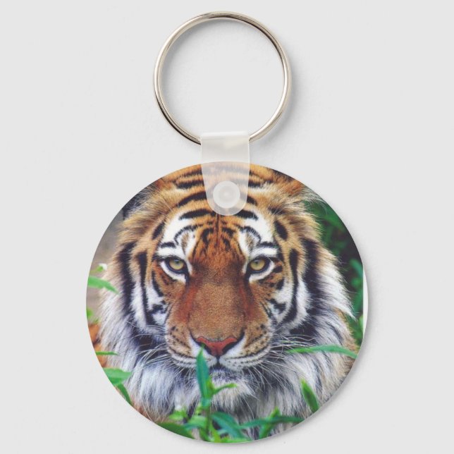 Tiger Stare Keychain (Front)