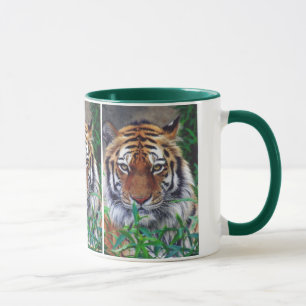 Tiger Stare Mug