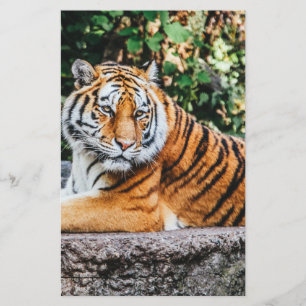 Tiger Stationery
