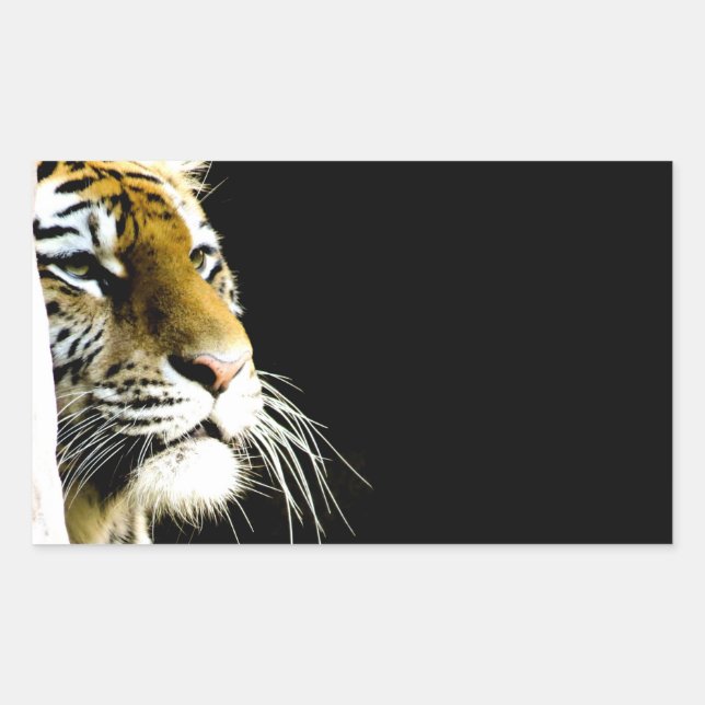 Tiger Sticker (Front)