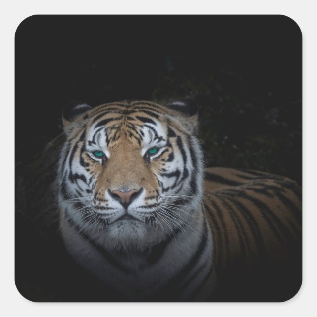 Tiger Sticker (Front)